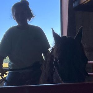 Meet your Posher, Harley